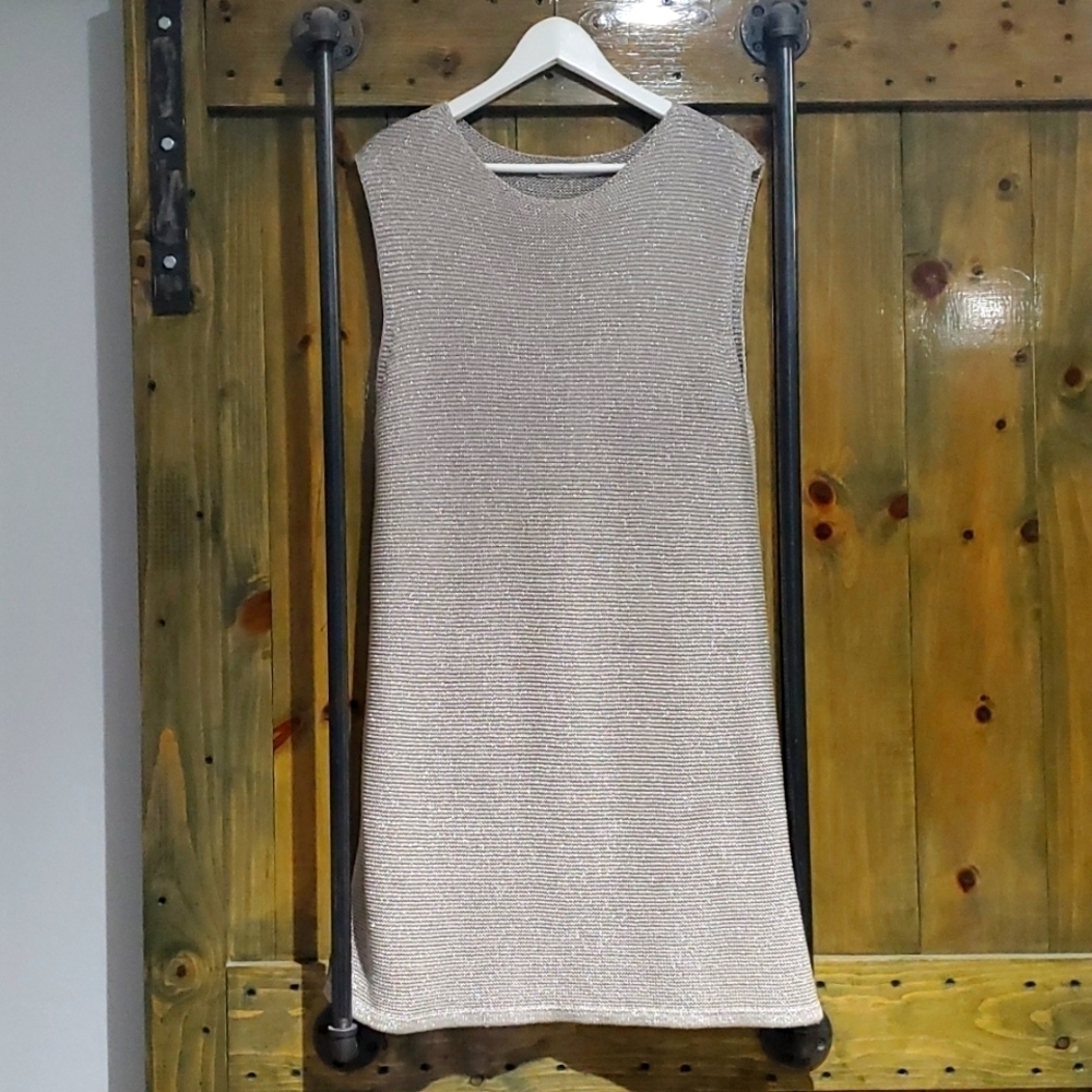 ZARA SILVER SHIMMER METALLIC GRAY KNIT DRESS SIZE LARGE Luxury Minimalist Edgy